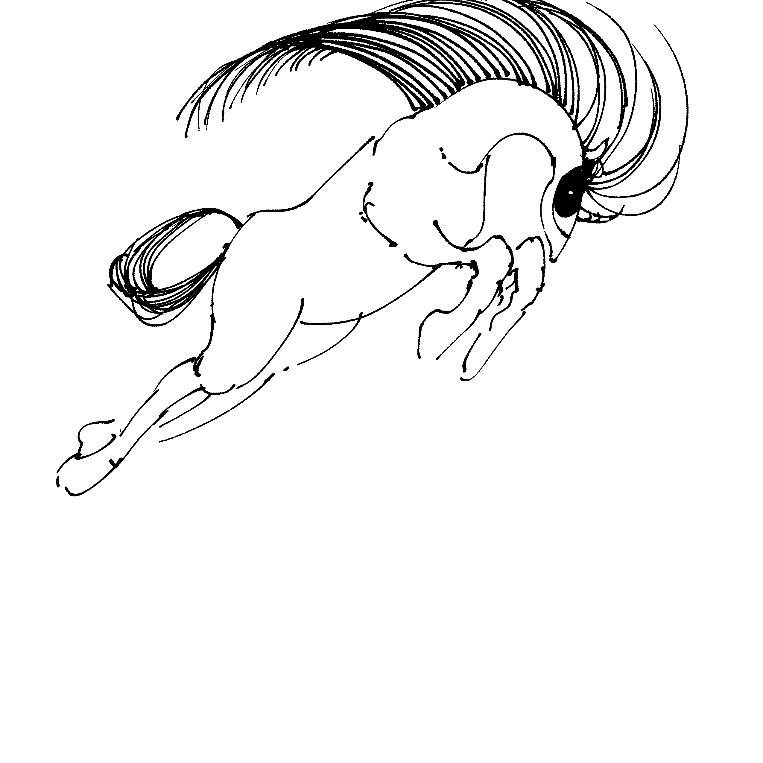 Sketchbook 7