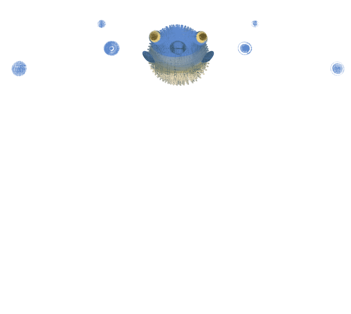 Puffer Fish
