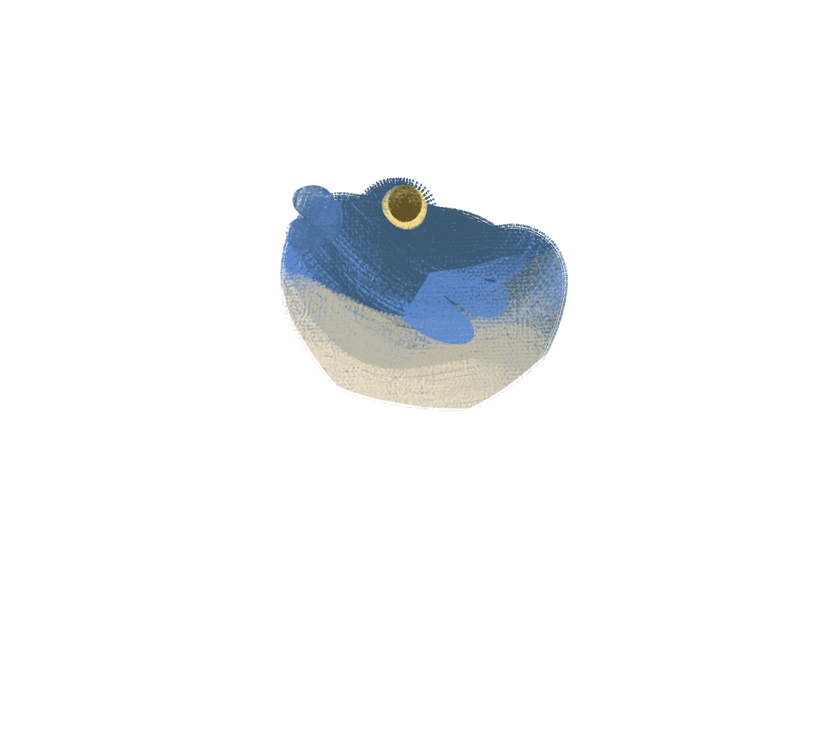 Puffer Fish